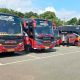 Bus study tour