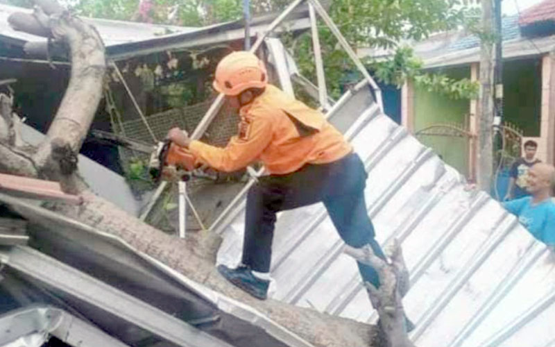 Petugas BPBD sedang menertibkan puing-puing akibat angin puting beliung