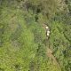 Kawasan hutan perhutanan sosial Garut