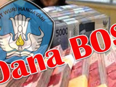 Dana BOS