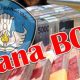 Dana BOS