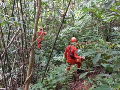 Pencarian orang hilang di hutan
