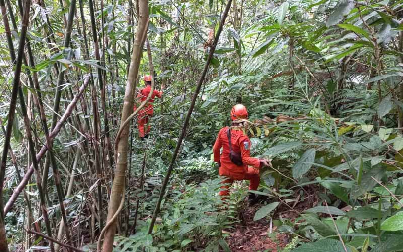 Pencarian orang hilang di hutan