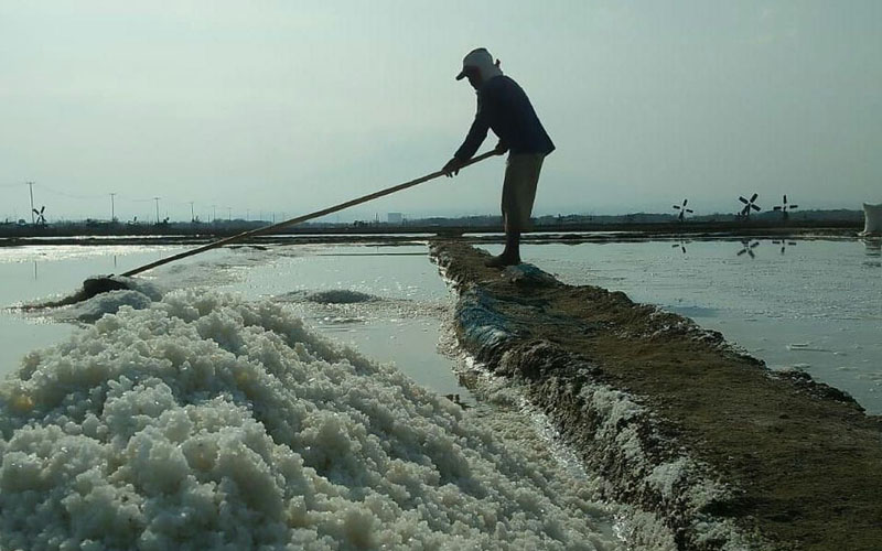 Petambak garam Cirebon